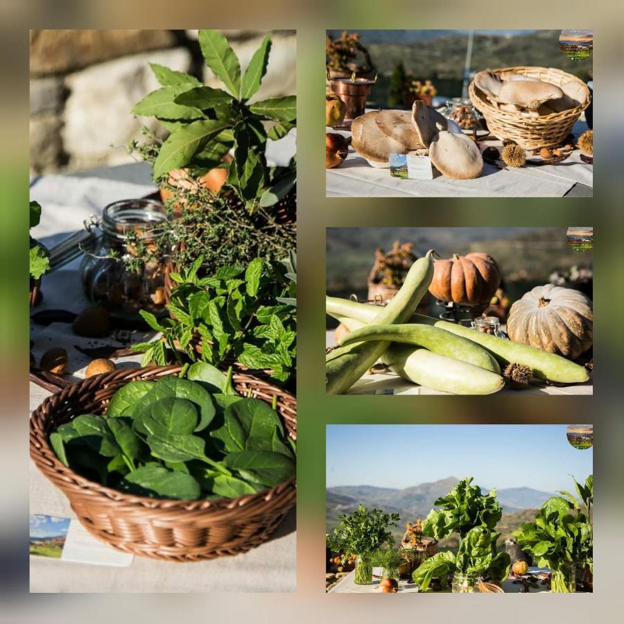 San Nicola - Restaurant&wellness Fitness 3* Polizzi Generosa